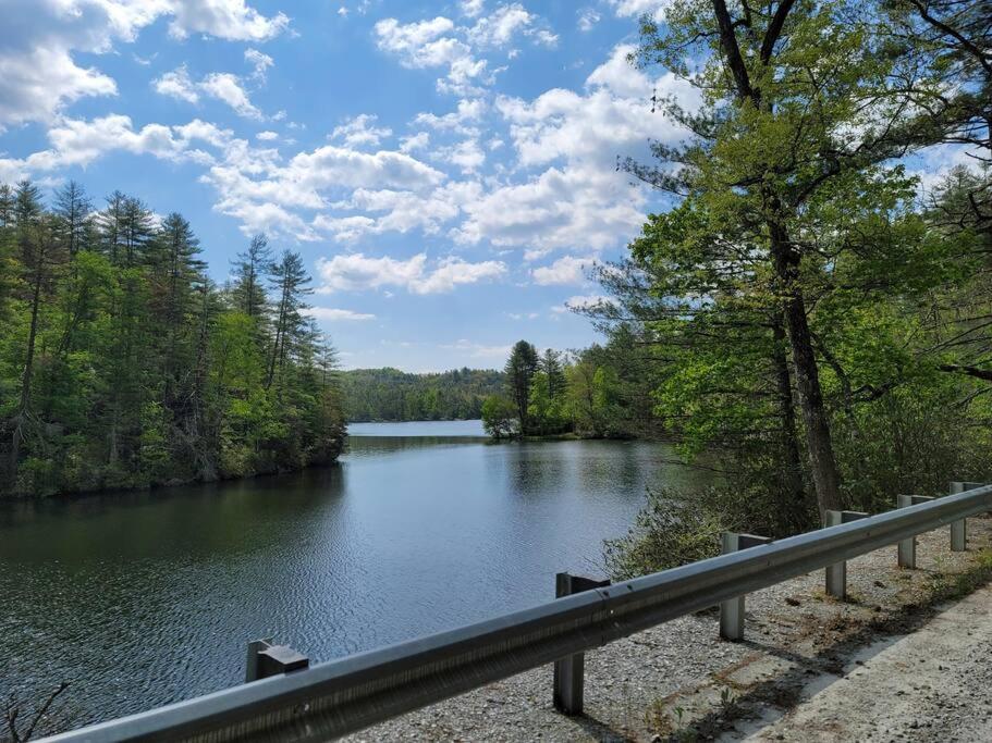 Cozy Swamp Rabbit - Sans Souci Greenville Furman ภายนอก รูปภาพ